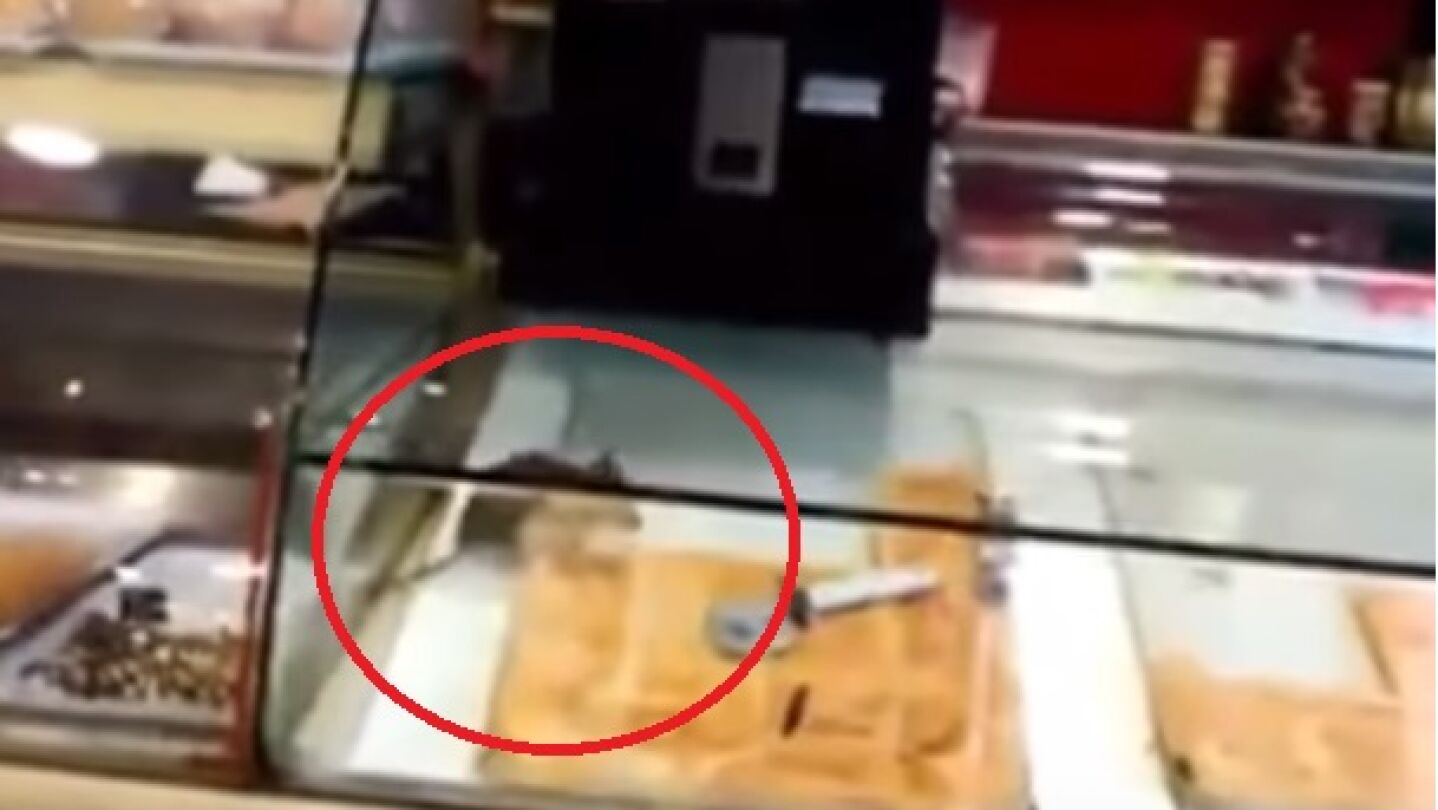 Una rata en el mostrador de un local de Avil&eacute;s