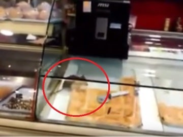 Una rata en el mostrador de un local de Avilés Una rata en el mostrador de un local de Avilés