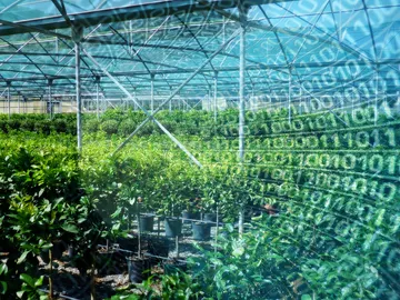 Big Data para los alimentos Big Data para los alimentos