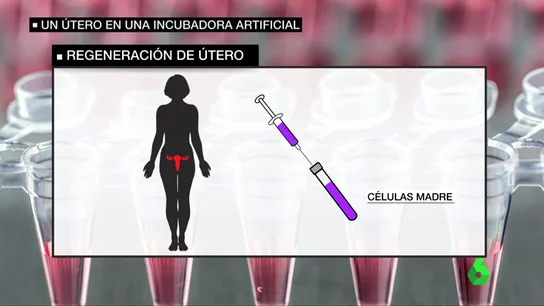 Frame 35.902611 de: utero Frame 35.902611 de: utero