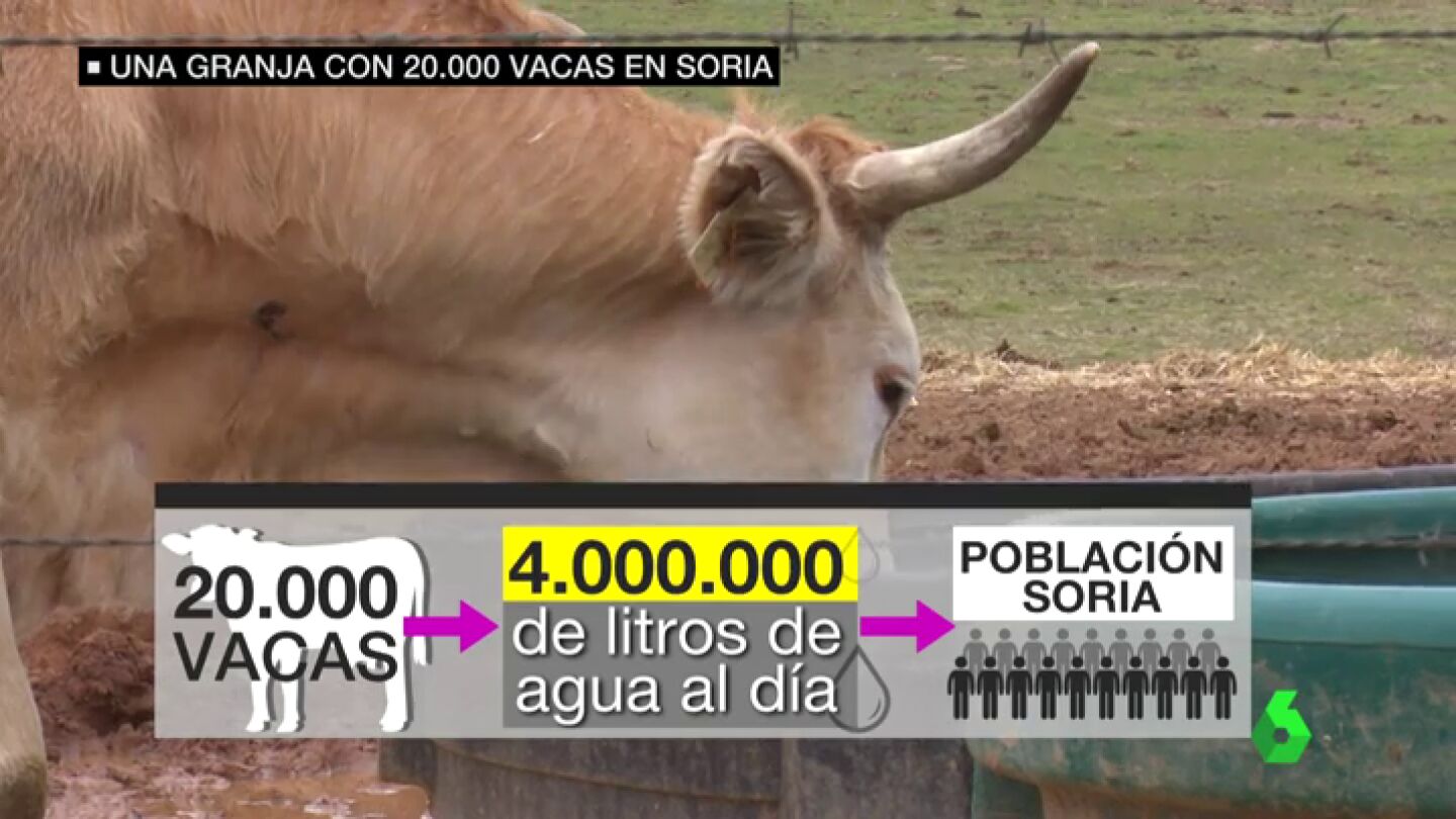 Frame 53.341346 de: El macroproyecto lechero de Soria divide a los ganaderos: crear&aacute; empleo pero podr&iacute;a forzar el cierre de cientos de granjas 