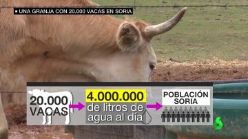 Frame 53.341346 de: El macroproyecto lechero de Soria divide a los ganaderos: creará empleo pero podría forzar el cierre de cientos de granjas 