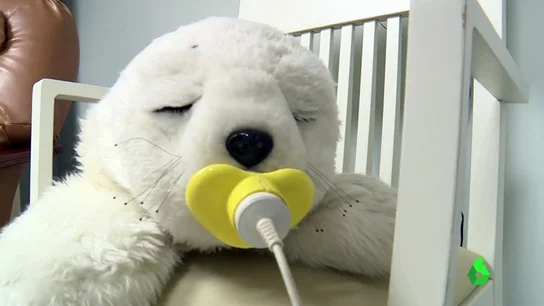 Frame 2.135555 de: 'Amparo', una foca robot que se utiliza en todo el mundo como terapia para personas con autismo y alzheimer Frame 2.135555 de: 'Amparo', una foca robot que se utiliza en todo el mundo como terapia para personas con autismo y alzheimer