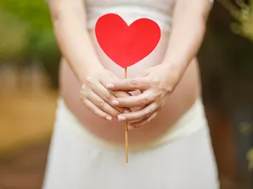 La melatonina está relacionada con la fertilidad La melatonina está relacionada con la fertilidad