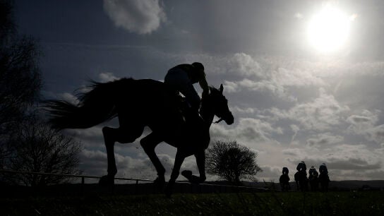 Carreras de caballos en Taunton (Inglaterra)