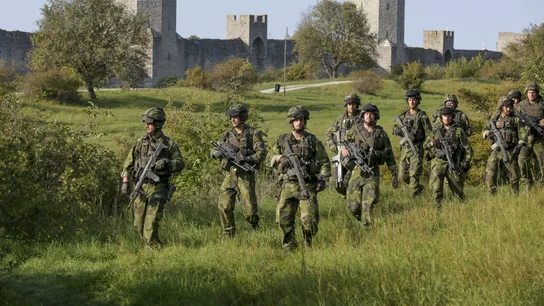 Un equipo de combate del Ejército de Suecia Un equipo de combate del Ejército de Suecia