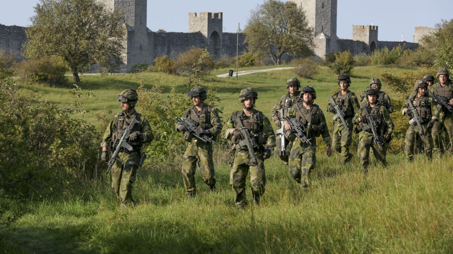 Un equipo de combate del Ej&eacute;rcito de Suecia