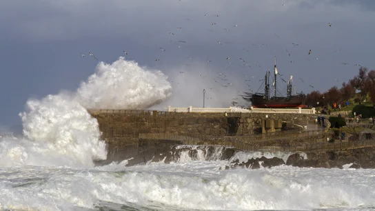 Viento, oleaje ponen en alerta a cinco comunidades Viento, nieve y oleaje ponen en alerta a casi toda España