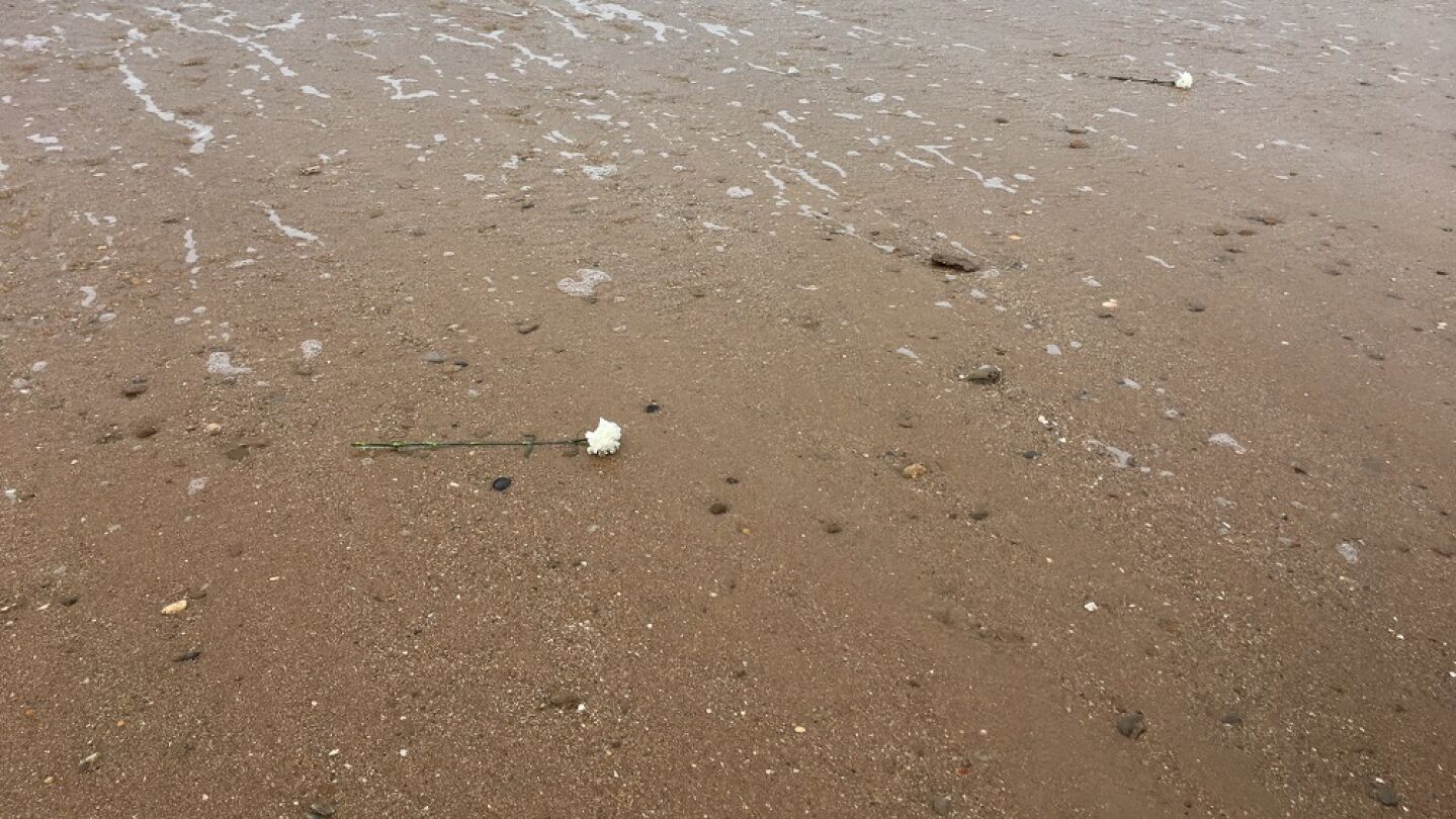 Arrojan claveles blancos al mar para recordar a las v&iacute;ctimas de la inmigraci&oacute;n en C&aacute;diz
