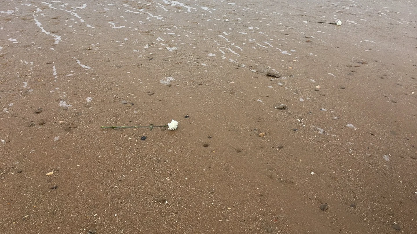 Arrojan claveles blancos al mar para recordar a las víctimas de la inmigración en Cádiz Arrojan claveles blancos al mar para recordar a las víctimas de la inmigración en Cádiz