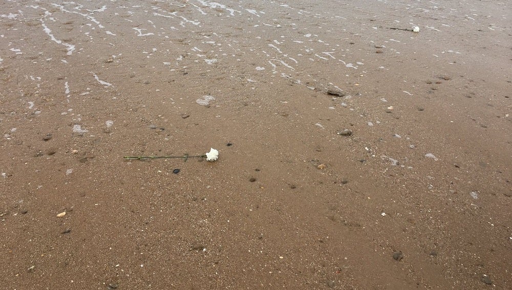 Arrojan claveles blancos al mar para recordar a las víctimas de la inmigración en Cádiz