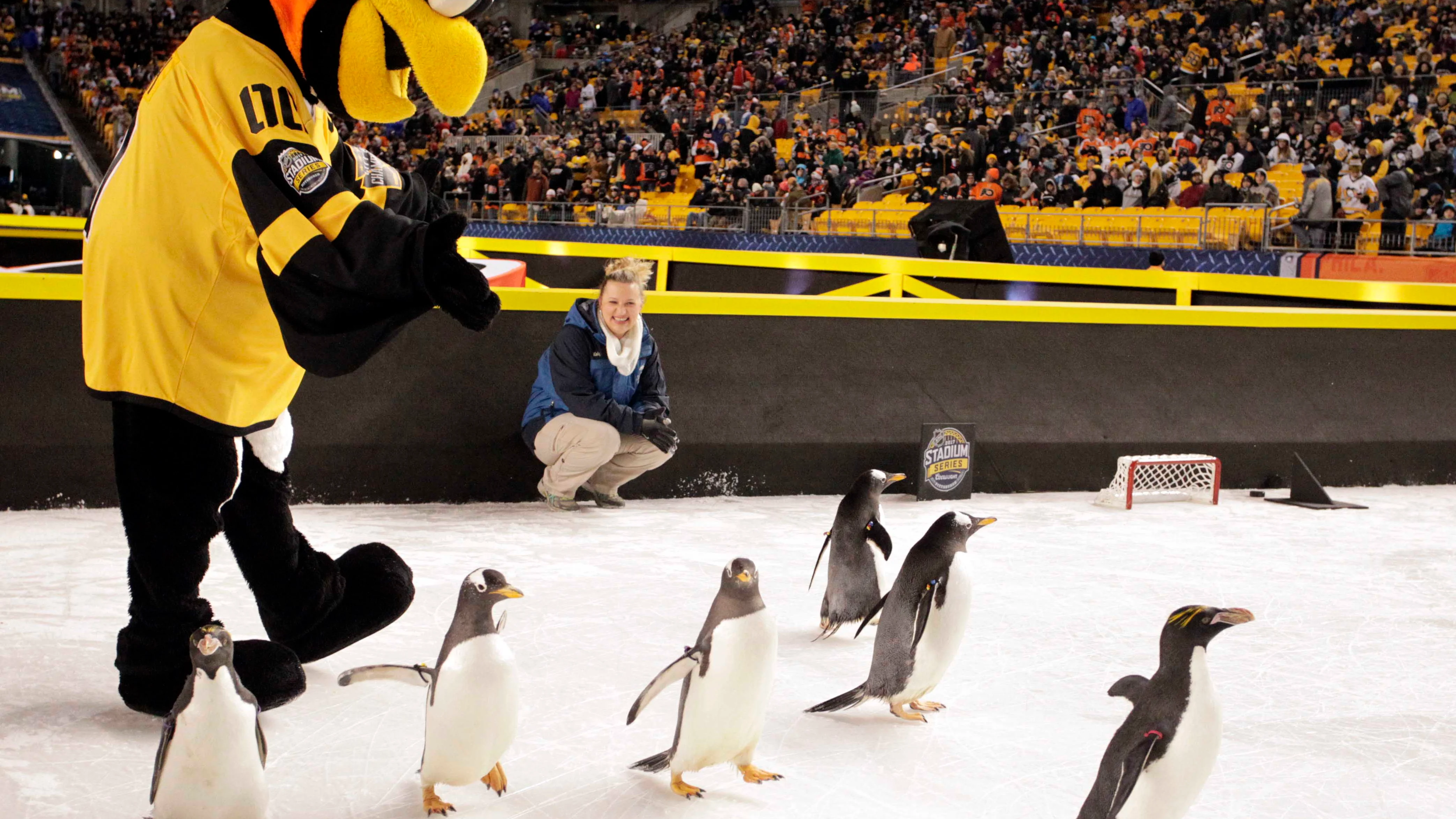 Los pingüinos, en el hielo antes del partido