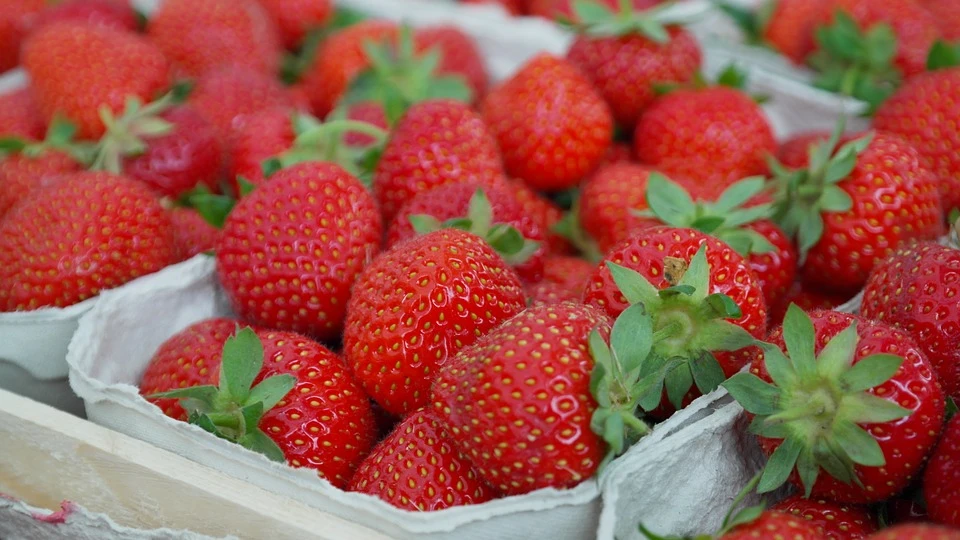 Fresas Fresas