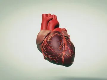 La memoria del corazón, a examen en la ficción de ‘Pulsaciones’ La memoria del corazón, a examen en la ficción de ‘Pulsaciones’