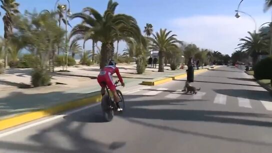 Peter Sagan esquivando a la se&ntilde;ora