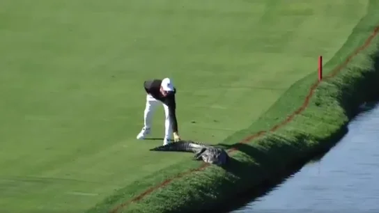 Cody Gribble espantando al cocodrilo Cody Gribble espantando al cocodrilo
