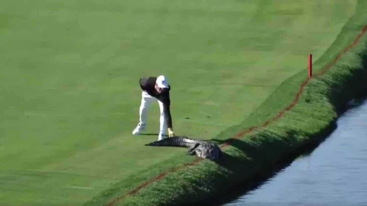 Cody Gribble espantando al cocodrilo