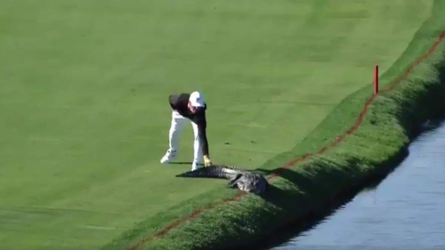 Cody Gribble espantando al cocodrilo Cody Gribble espantando al cocodrilo