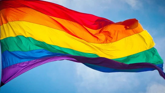Bandera Arco iris Bandera Arco Iris