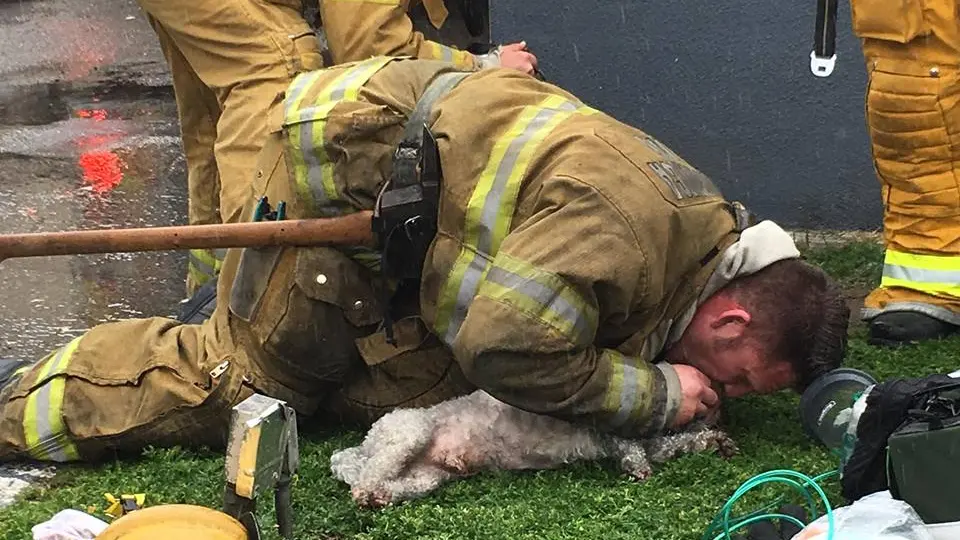 El bombero practicándole el boba a boca