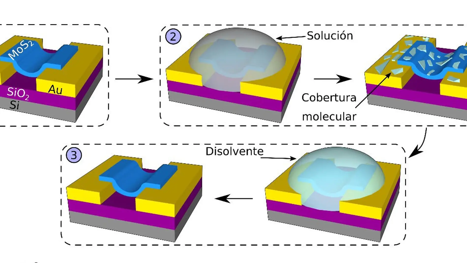 Nuevo fotodetector 2D ultrasensible