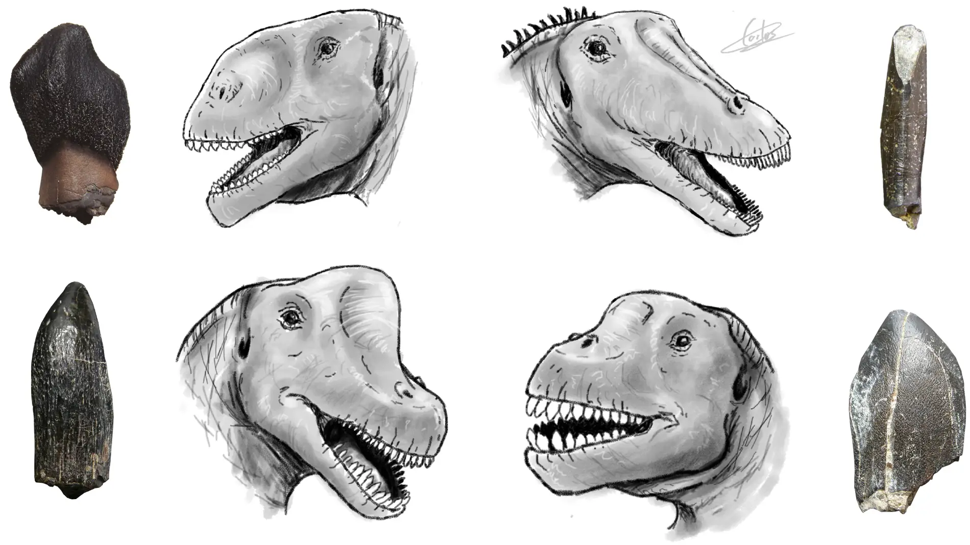 La diversidad de dinosaurios de Portugal es mayor de lo que se pensaba