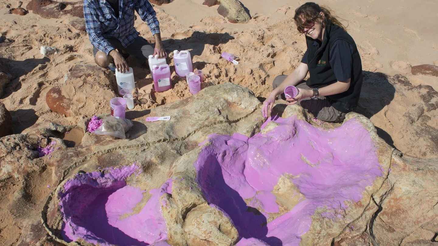 Fotografía facilitada por la Universidad de Queensland de científicos creando un molde de silicona en la huella de un dinosaurio. Fotografía facilitada por la Universidad de Queensland de científicos creando un molde de silicona en la huella de un dinosaurio.