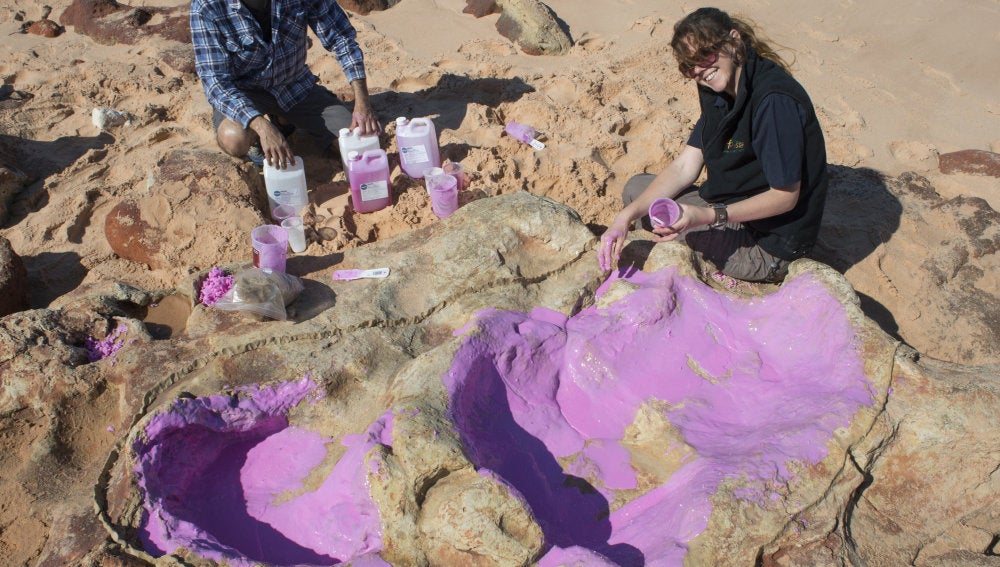 Fotografía facilitada por la Universidad de Queensland de científicos creando un molde de silicona en la huella de un dinosaurio. 