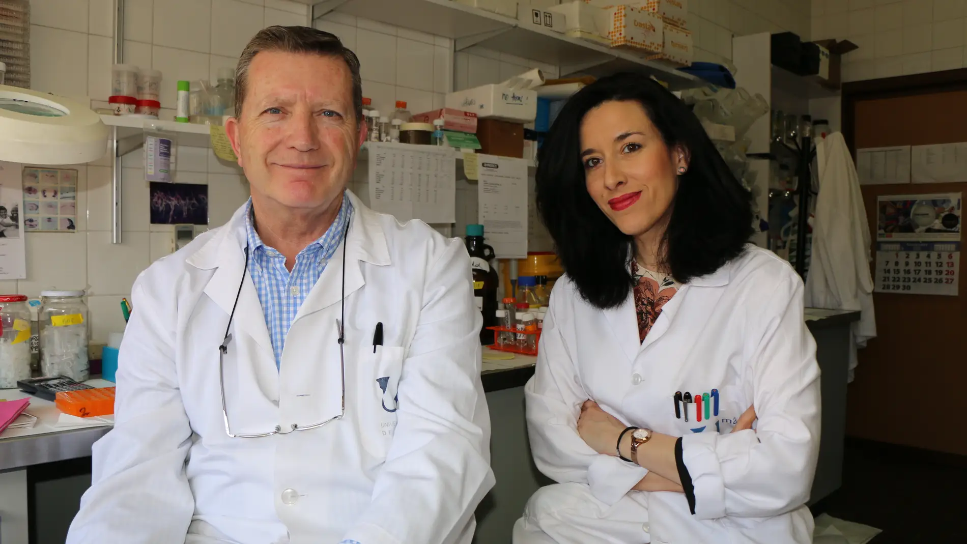 A la busqueda de soportes fisicos para su uso en medicina regenerativa