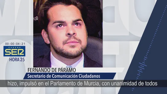 El secretario de Comunicación de Ciudadanos, Fernando de Páramo. El secretario de Comunicación de Ciudadanos, Fernando de Páramo.