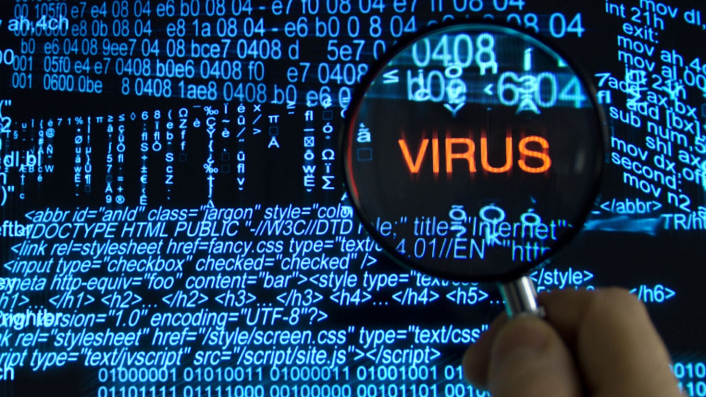 Virus inform&aacute;ticos