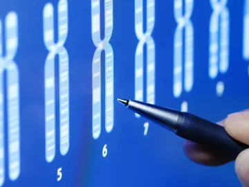 Test de incompatibilidad genetica Test de incompatibilidad genetica