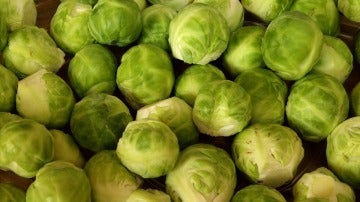 Coles de Bruselas