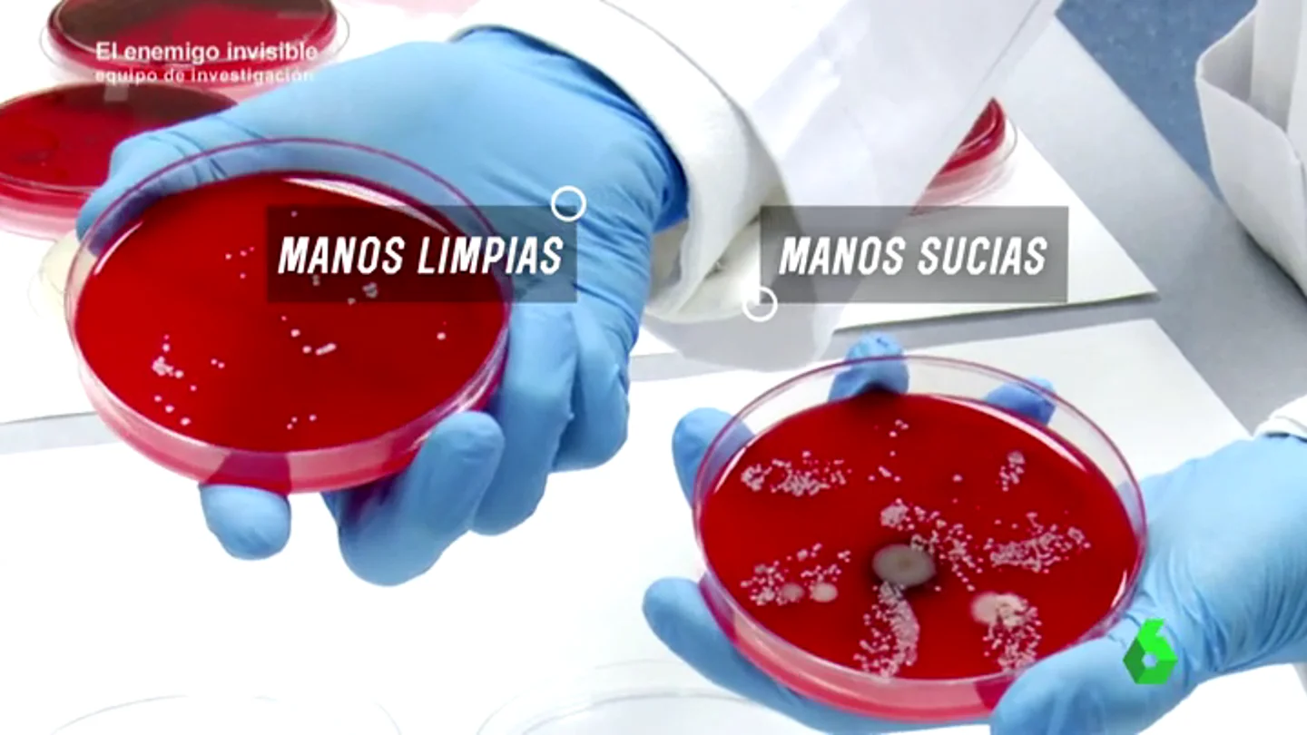 Frame 168.900999 de: BACTERIAS ESCONDIDAS Frame 168.900999 de: BACTERIAS ESCONDIDAS