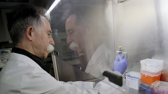 Salvador Aliño, catedrático de Farmacología de la Universidad de Valéncia y responsable del grupo de investigación Salvador Aliño, catedrático de Farmacología de la Universidad de Valéncia y responsable del grupo de investigación