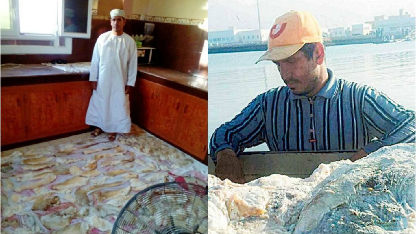 Jalid al Sinani junto al v&oacute;mito de cachalote 