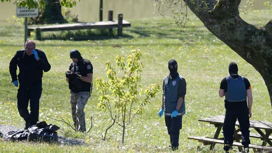 Entrega de armas de ETA Entrega de armas de ETA