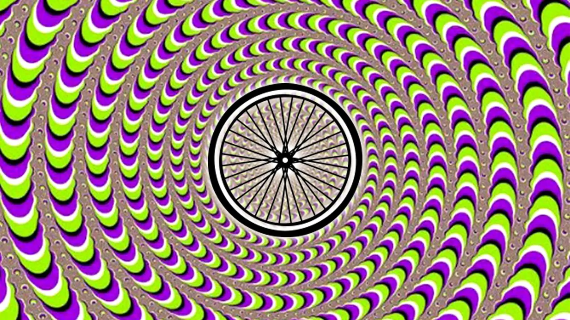 El LSD se vincula al Día Mundial de la Bicicleta