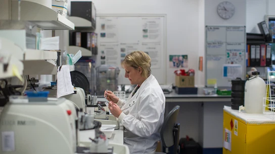 Una científica trabajando en el laboratorio Una científica trabajando en el laboratorio