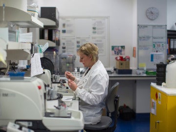 Una científica trabajando en el laboratorio Una científica trabajando en el laboratorio