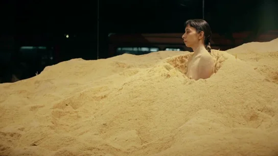 Frame 0.0 de: Regina José Galindo, la artista guatemalteca criticada por denunciar la desigualdad con su cuerpo desnudo Frame 0.0 de: Regina José Galindo, la artista guatemalteca criticada por denunciar la desigualdad con su cuerpo desnudo