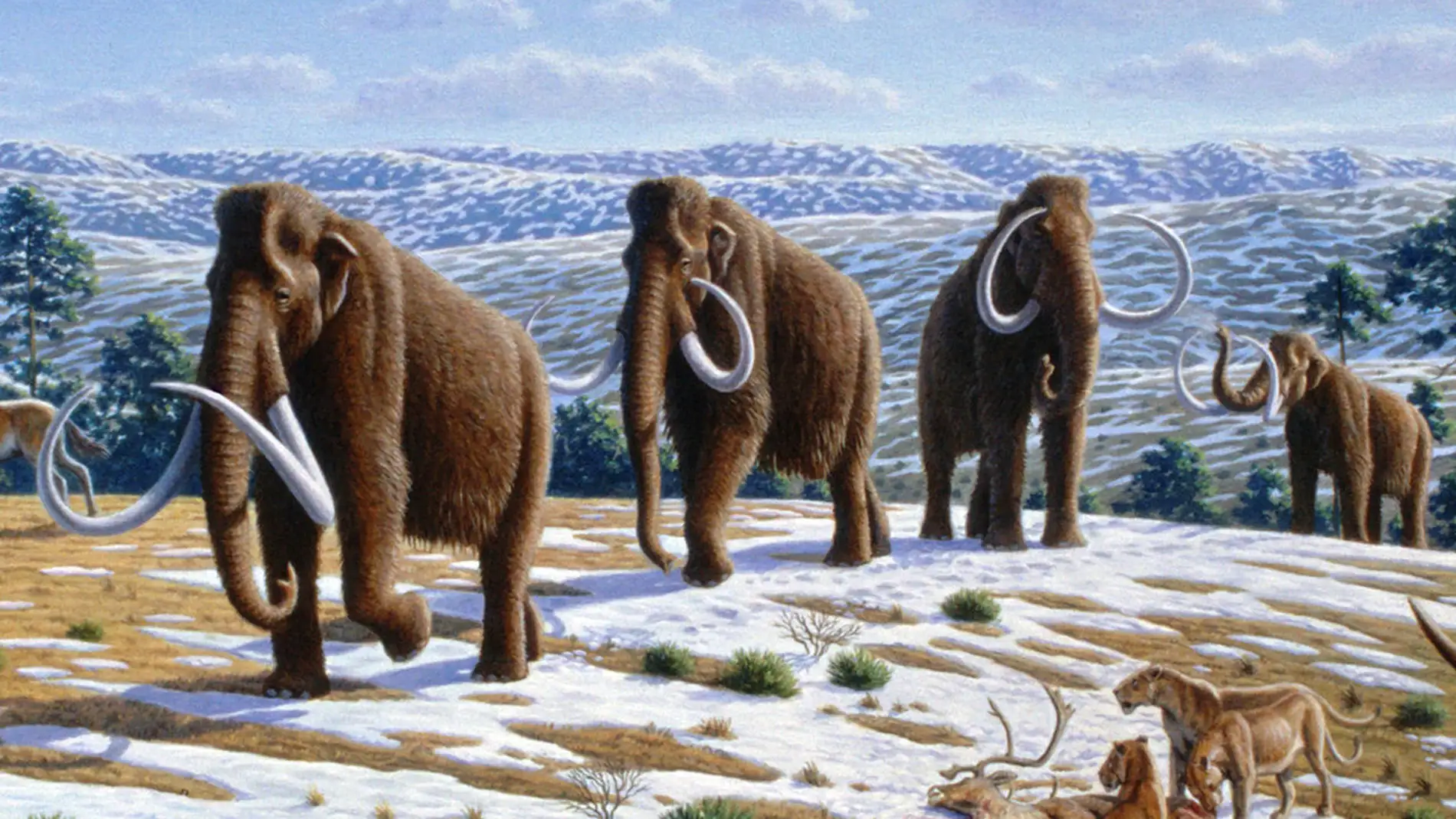 La humedad impulso la extincion de la megafauna de la Edad de Hielo