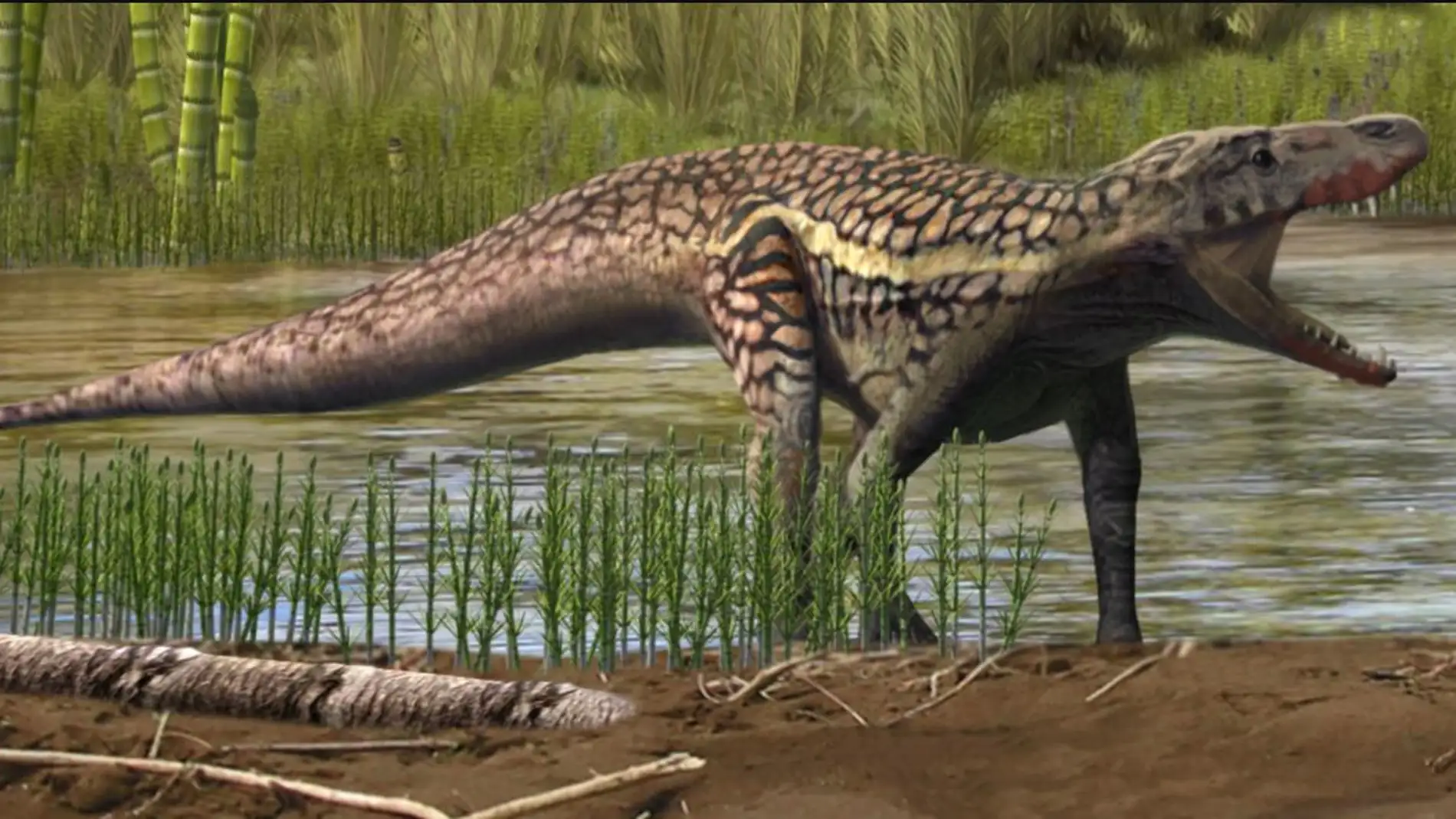 Reconstrucción artística de un arcosauromorfo. Autor: Oscar Sanisidro / Institut Català de Paleontologia Miquel Crusafont