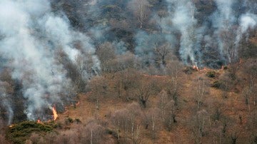 Incendio forestal en Asturias