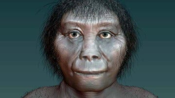 Cual es el verdadero origen de los hobbits indonesios