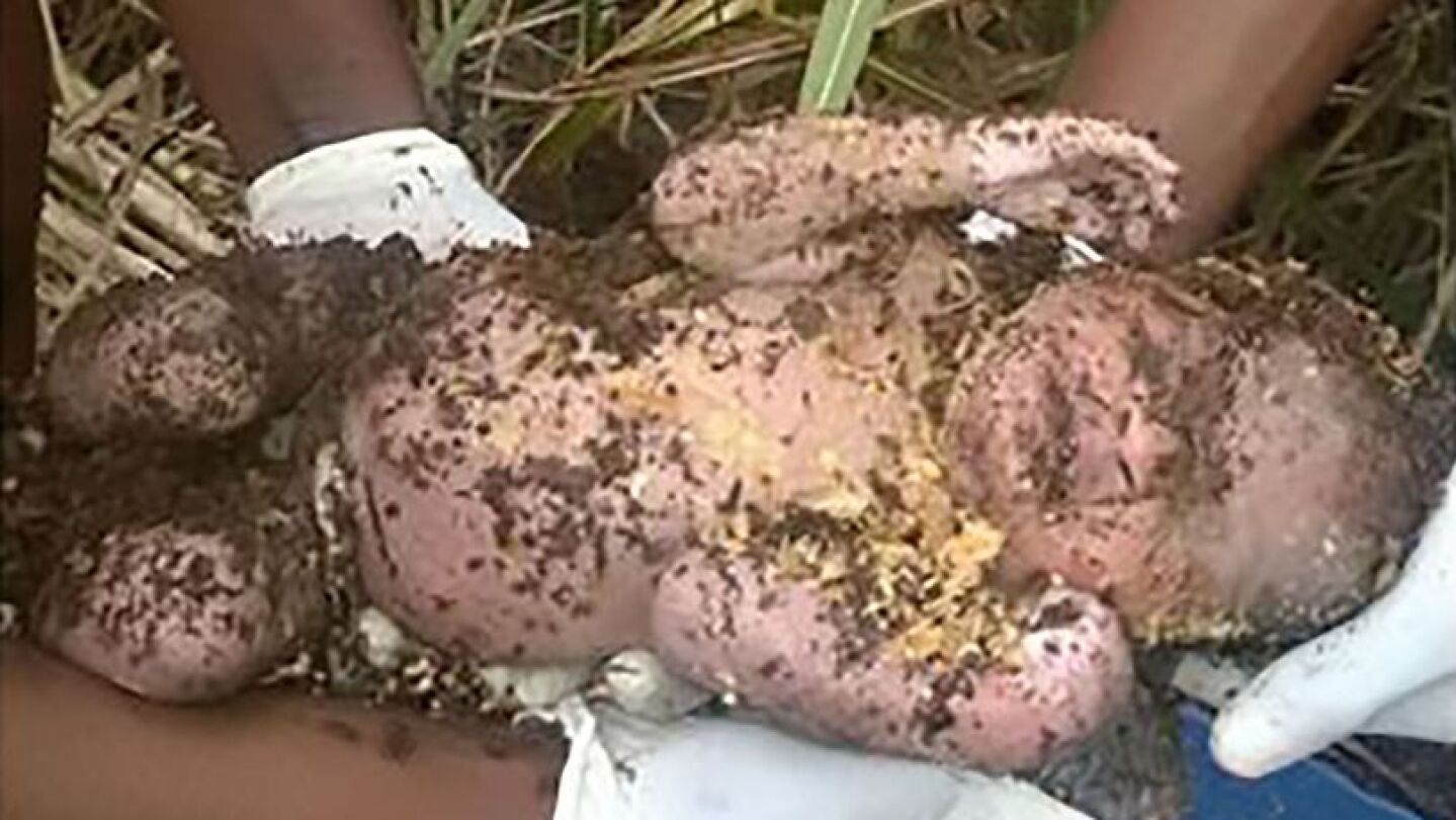 Beb&eacute; rescatado con vida en Sud&aacute;frica