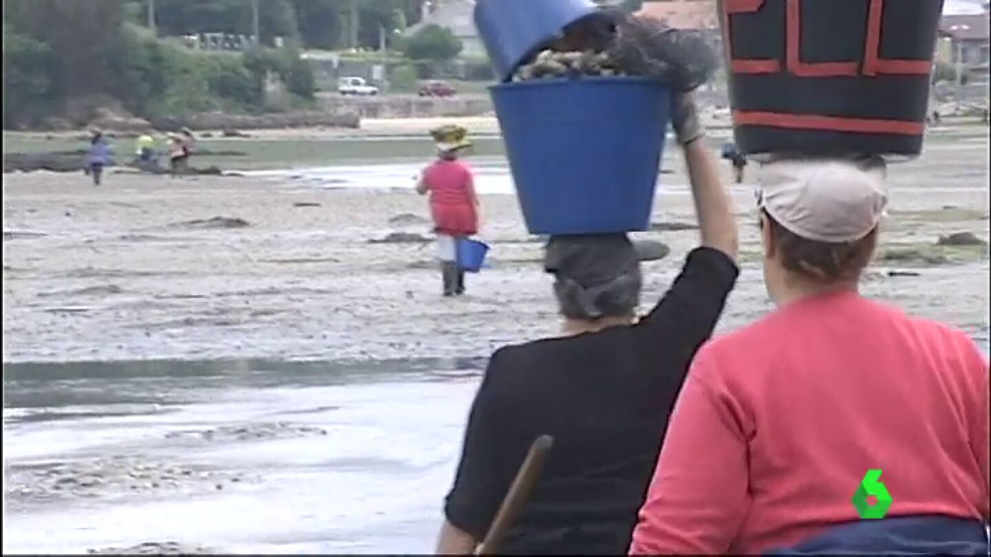 La Xunta no materializa el plan de saneamiento de la R&iacute;a de Pontevedra y las mariscadoras no pueden trabajar ni cobrar el paro