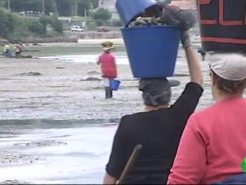 La Xunta no materializa el plan de saneamiento de la Ría de Pontevedra y las mariscadoras no pueden trabajar ni cobrar el paro La Xunta no materializa el plan de saneamiento de la Ría de Pontevedra y las mariscadoras no pueden trabajar ni cobrar el paro