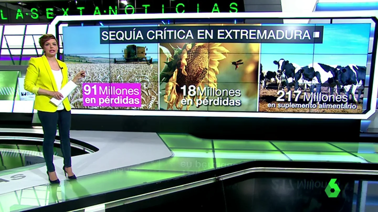 La grave sequía en toda España provoca pérdidas millonarias del cereal, la apicultura y la ganadería La grave sequía en toda España provoca pérdidas millonarias del cereal, la apicultura y la ganadería