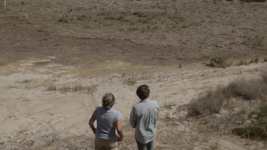 ¿Está en peligro Doñana? ¿Está en peligro Doñana?